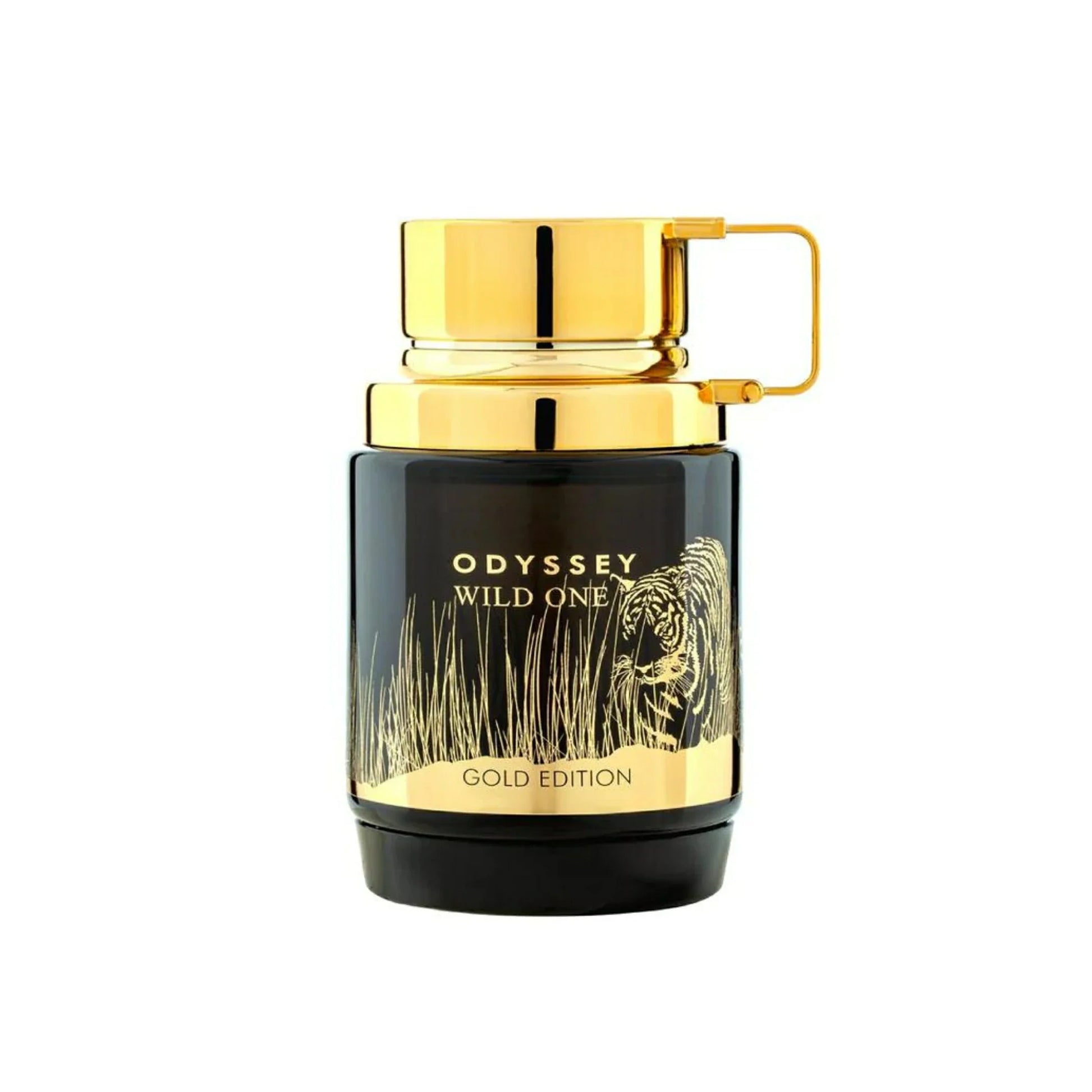 Armaf Odyssey Wild One EDP 100ml perfume for men