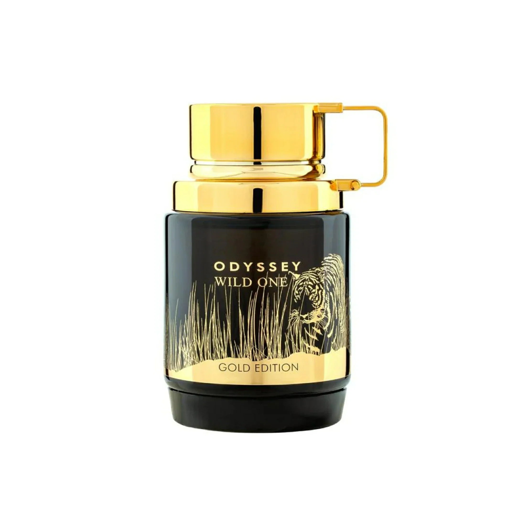 Armaf Odyssey Wild One EDP 100ml perfume for men